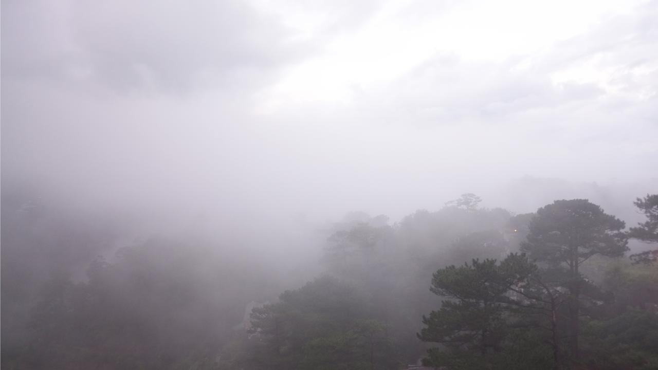 Misty Hill Dalat Otel Dış mekan fotoğraf