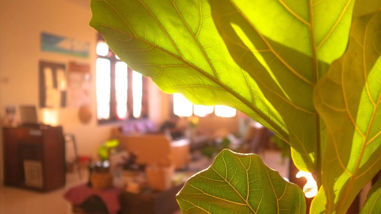 Misty Hill Dalat Otel Dış mekan fotoğraf