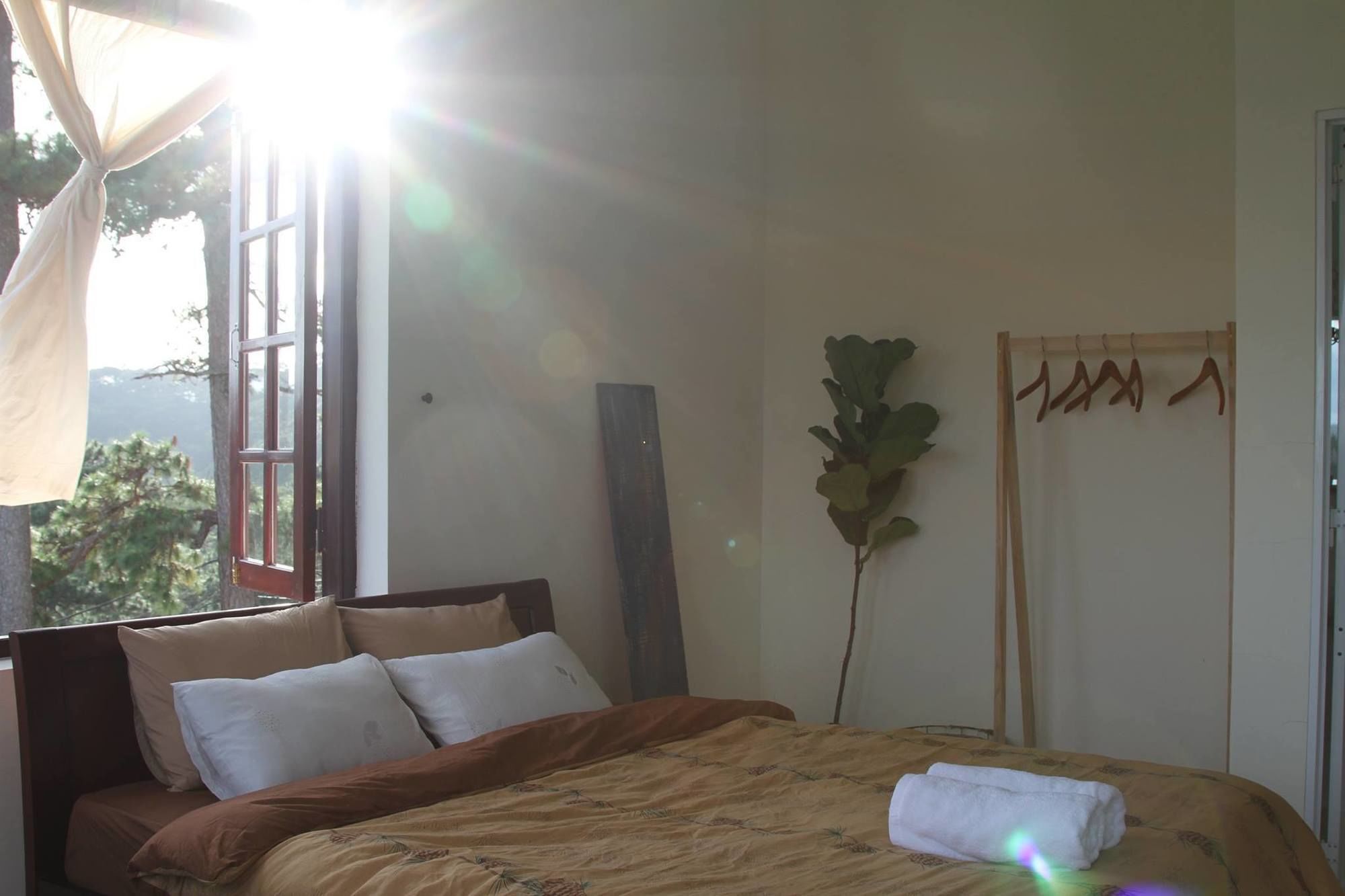 Misty Hill Dalat Otel Dış mekan fotoğraf